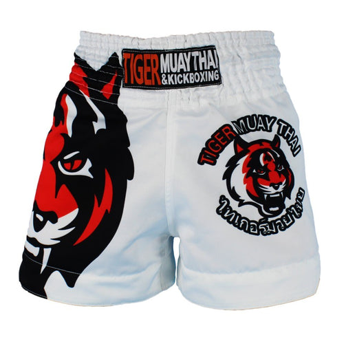 SUOTF MMA Tiger Muay Thai boxing boxing match