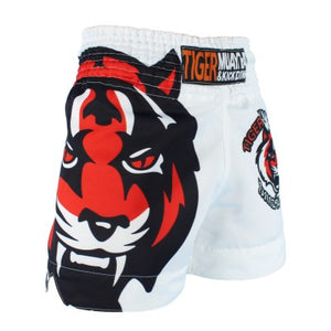 SUOTF MMA Tiger Muay Thai boxing boxing match